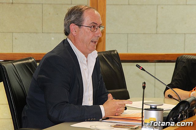 Pleno ordinario abril 2018 - 32