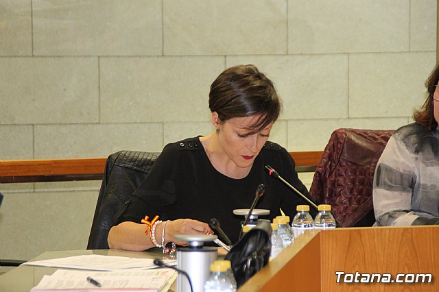 Pleno ordinario abril 2018 - 42