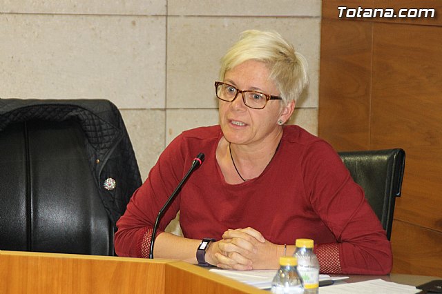 Pleno ordinario abril 2018 - 43