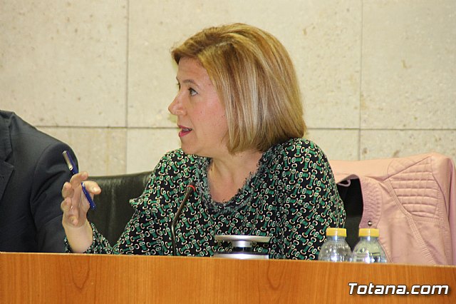 Pleno ordinario abril 2018 - 44