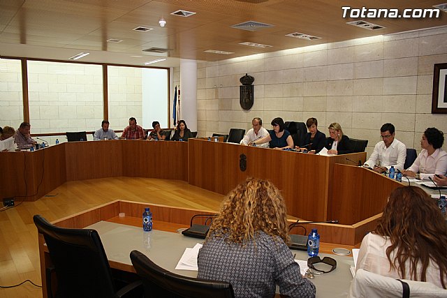 Pleno ordinario abril 2012 - 1