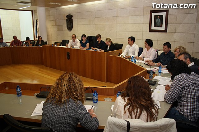 Pleno ordinario abril 2012 - 2