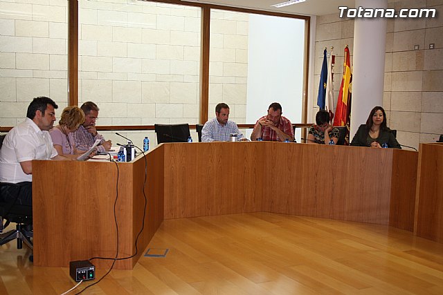 Pleno ordinario abril 2012 - 4