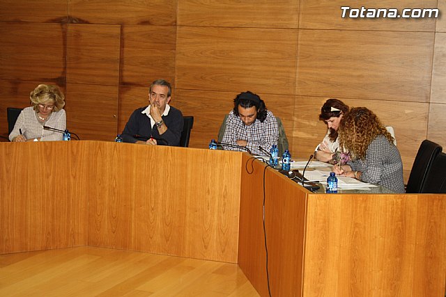 Pleno ordinario abril 2012 - 6