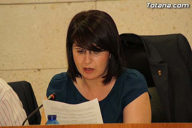 Pleno ordinario abril 2012 - 11