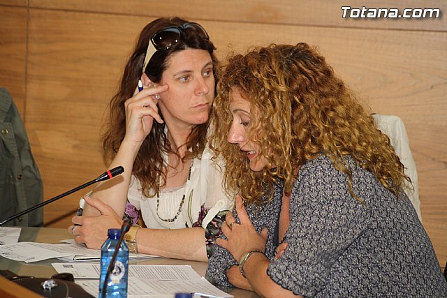 Pleno ordinario abril 2012 - 13