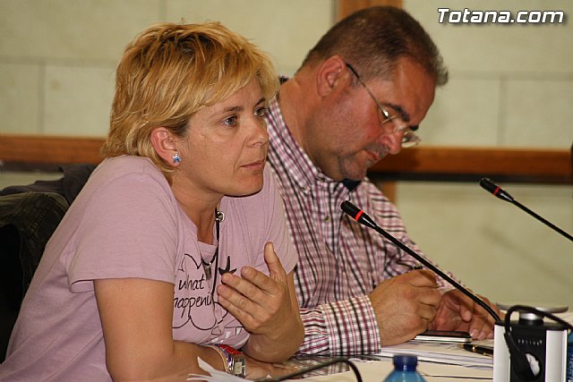 Pleno ordinario abril 2012 - 16