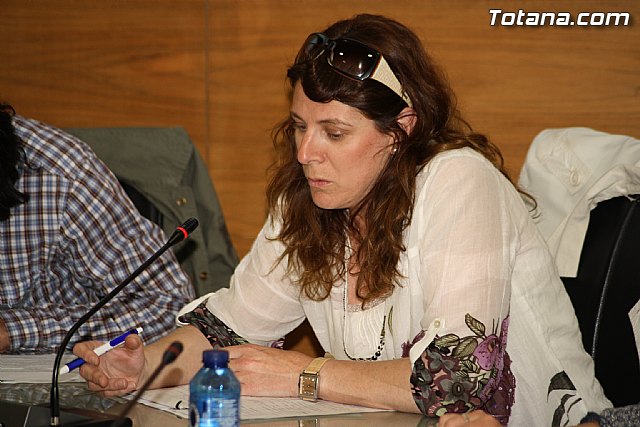 Pleno ordinario abril 2012 - 17