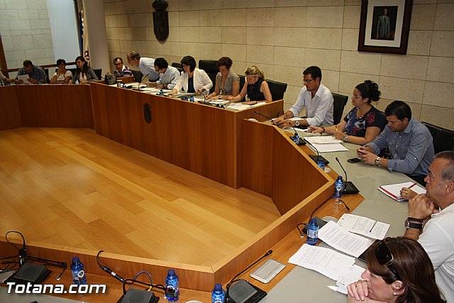 Pleno ordinario junio 2012 - 19