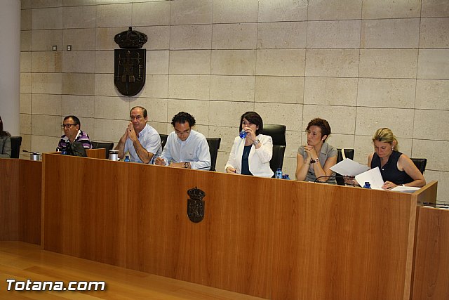 Pleno ordinario junio 2012 - 40