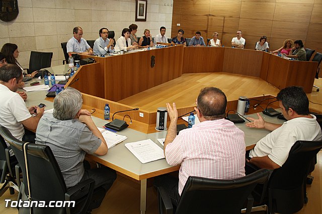 Pleno ordinario junio 2012 - 42