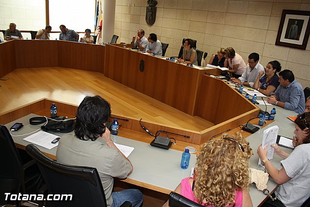 Pleno ordinario junio 2012 - 48