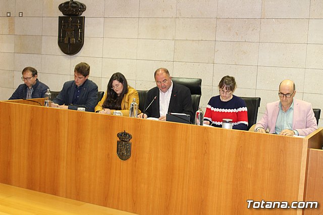 Pleno ordinario febrero 2020 - 7