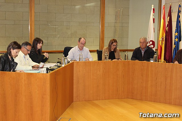 Pleno ordinario febrero 2020 - 10