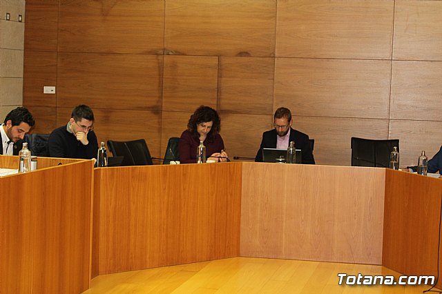 Pleno ordinario febrero 2020 - 13