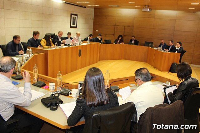 Pleno ordinario febrero 2020 - 14