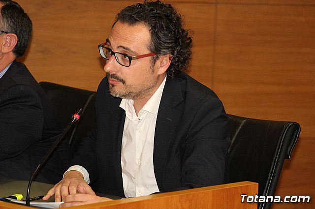 Pleno ordinario febrero 2020 - 18