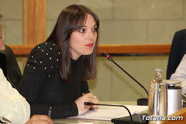 Pleno ordinario febrero 2020 - 22