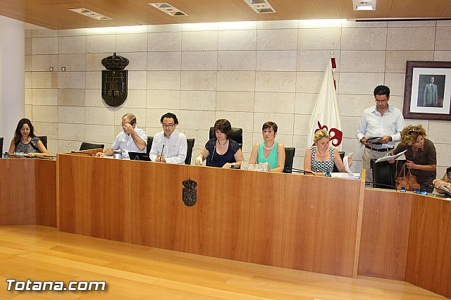 Pleno ordinario julio 2013 - 8