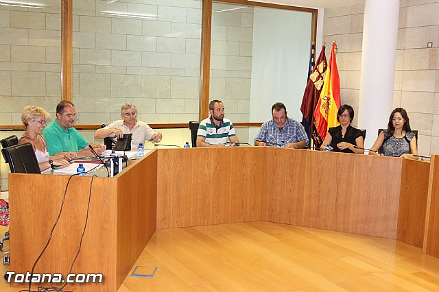 Pleno ordinario julio 2013 - 9