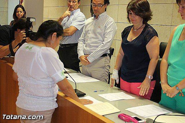 Pleno ordinario julio 2013 - 18