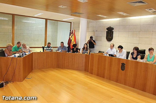 Pleno ordinario julio 2013 - 25