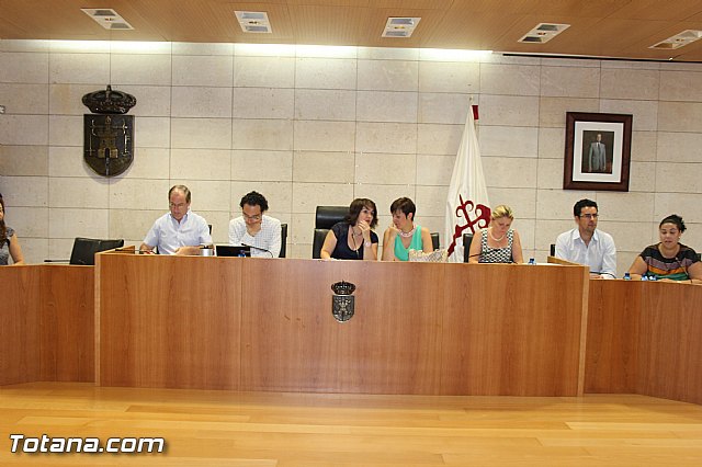 Pleno ordinario julio 2013 - 26