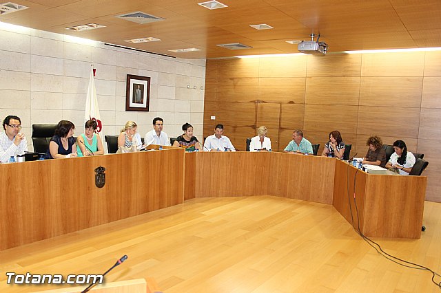 Pleno ordinario julio 2013 - 27