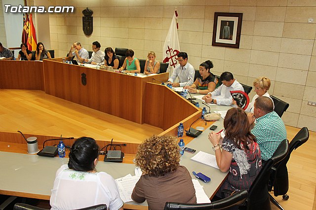 Pleno ordinario julio 2013 - 30