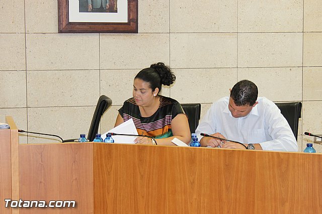 Pleno ordinario julio 2013 - 33