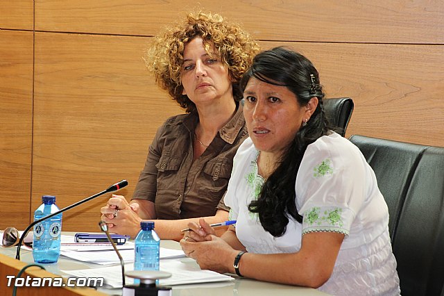 Pleno ordinario julio 2013 - 42