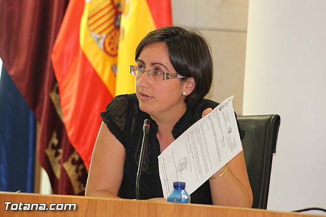 Pleno ordinario julio 2013 - 43