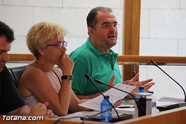 Pleno ordinario julio 2013 - 44