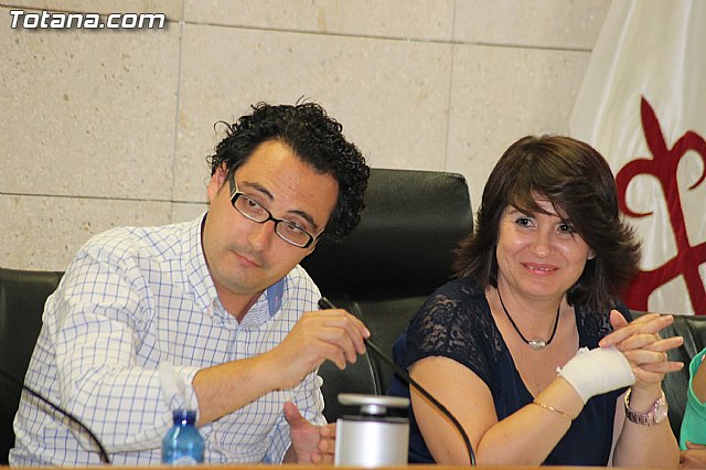 Pleno ordinario julio 2013 - 53