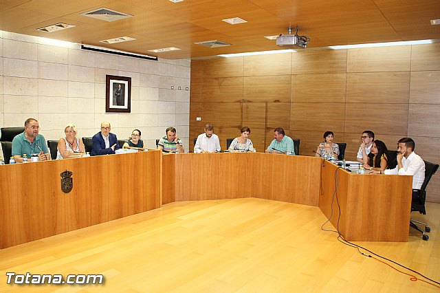 Pleno ordinario Julio 2016 - 3