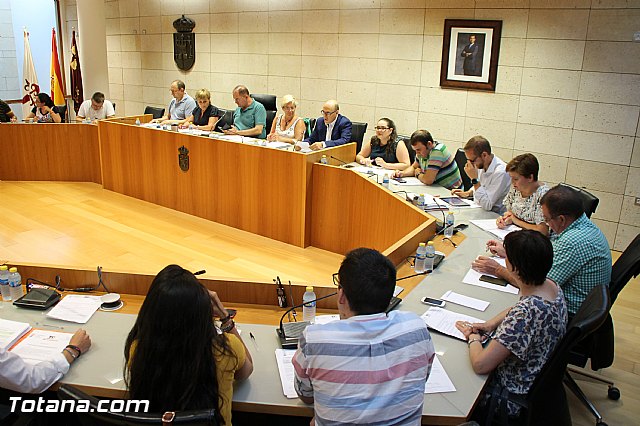 Pleno ordinario Julio 2016 - 12