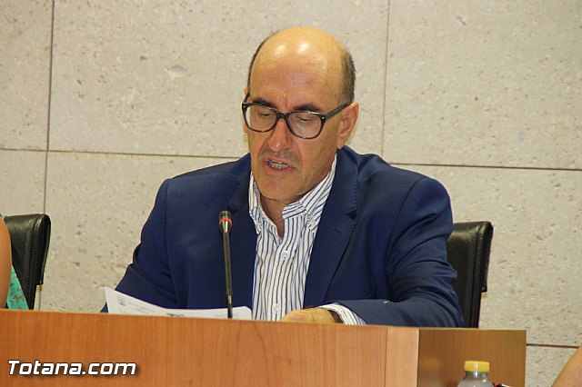 Pleno ordinario Julio 2016 - 13