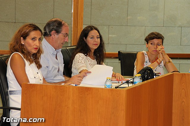 Pleno ordinario Julio 2016 - 15