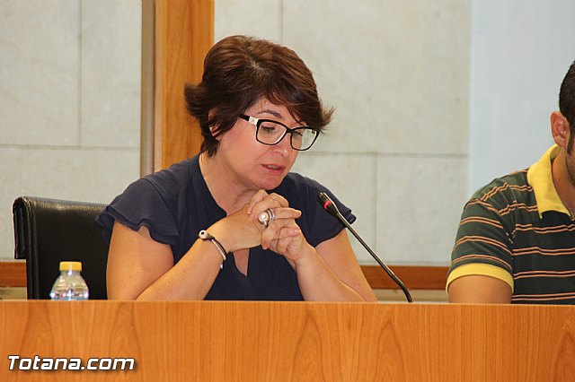 Pleno ordinario Julio 2016 - 22