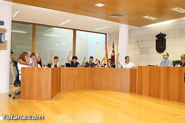 Pleno ordinario Julio 2016 - 24