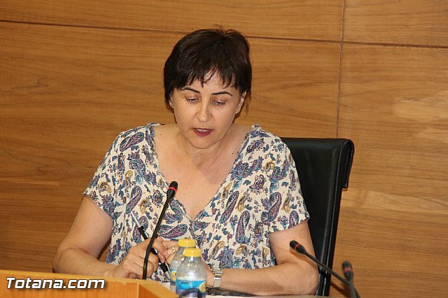 Pleno ordinario Julio 2016 - 26