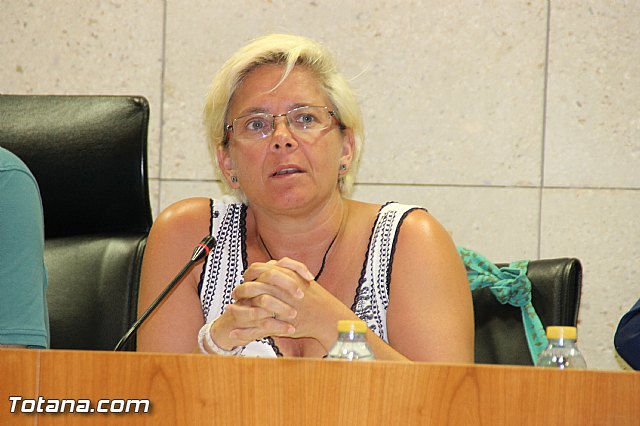 Pleno ordinario Julio 2016 - 31