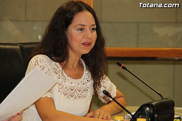 Pleno ordinario Julio 2016 - 33