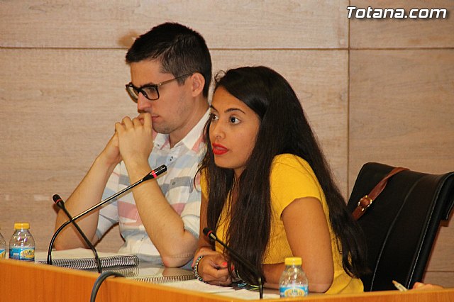 Pleno ordinario Julio 2016 - 39