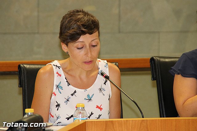 Pleno ordinario Julio 2016 - 41