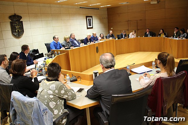 Pleno ordinario marzo 2017 - 7