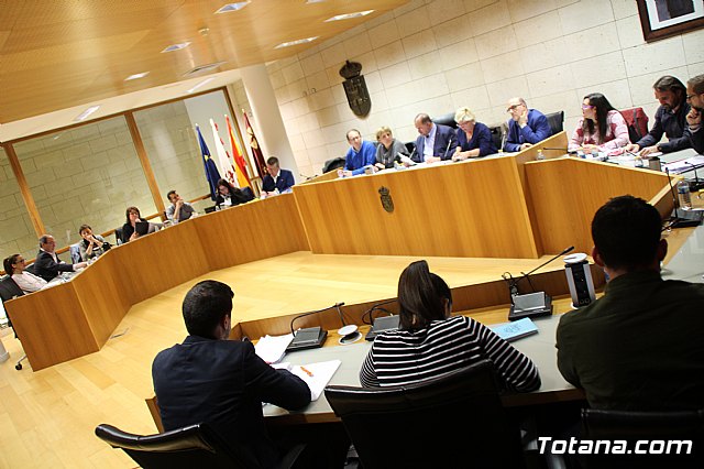 Pleno ordinario marzo 2017 - 9