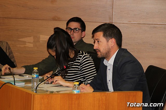 Pleno ordinario marzo 2017 - 10