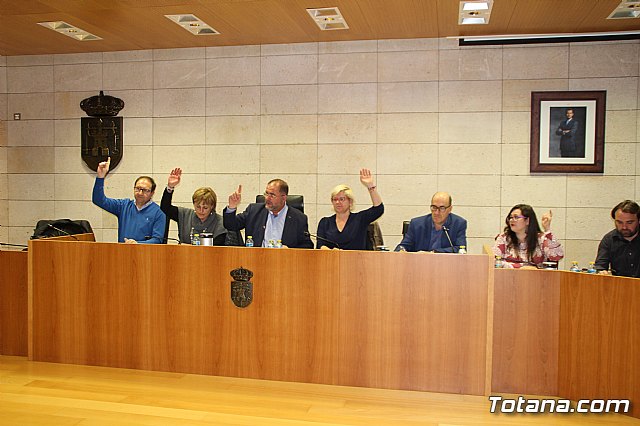 Pleno ordinario marzo 2017 - 13