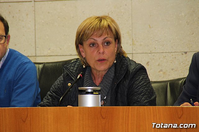 Pleno ordinario marzo 2017 - 33